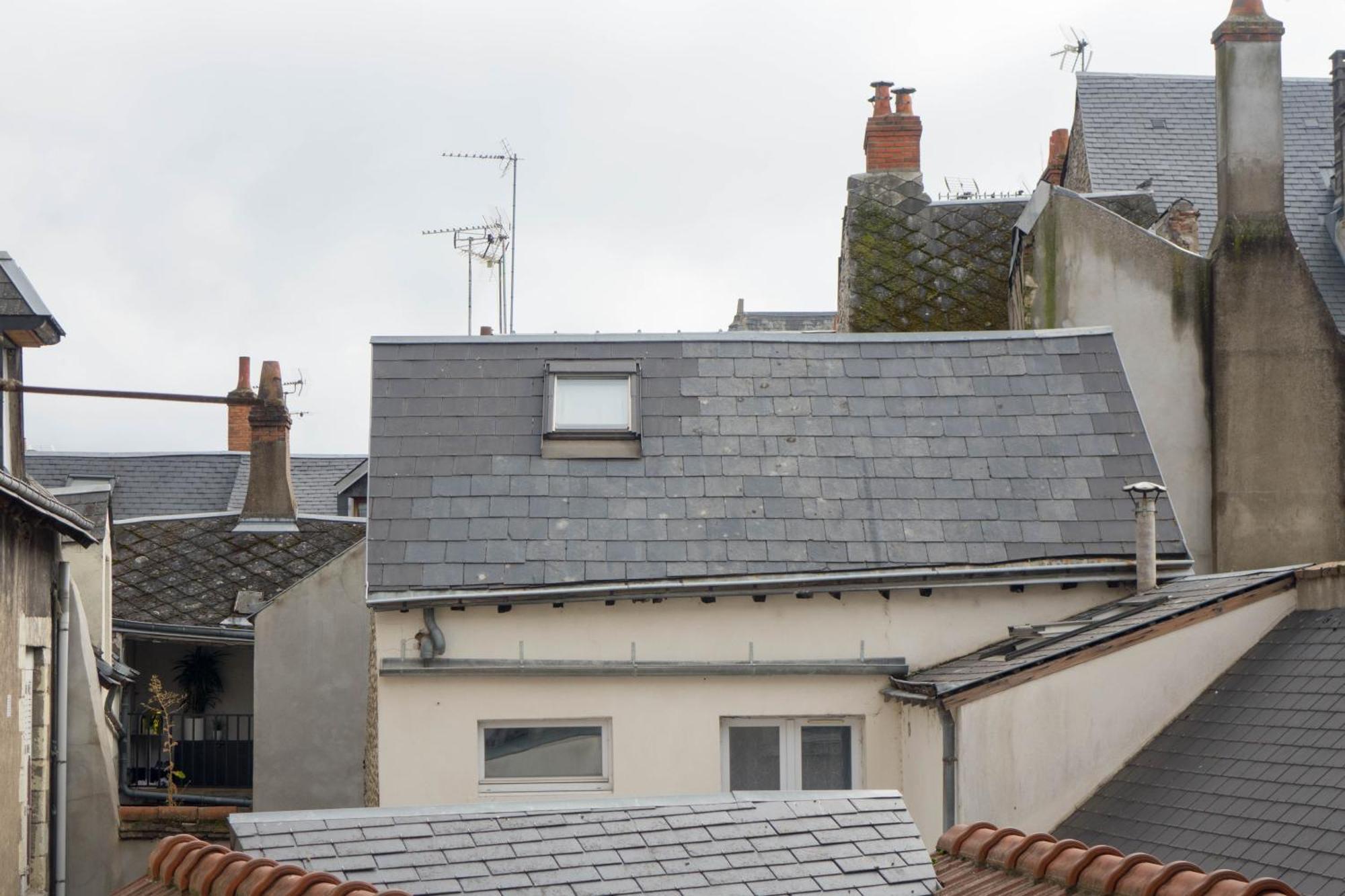 Orleans Centre Historique - Charmant T2 - L'Evasion Orleanaise エクステリア 写真
